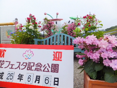 130606花フェスタ記念公園①.JPG