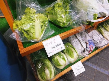 140102かすがモリモリ村③、お土産コーナー（美束のサラダ菜と白菜） (コピー).JPG