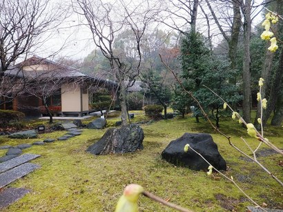 140318色金山歴史公園茶室⑥、庭園 (コピー).JPG
