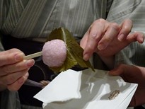 150312京都イオリカフェマナー講座④、桜餅の食べ方 (コピー).JPG