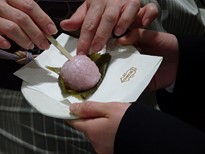 150312京都イオリカフェマナー講座⑤、桜餅の食べ方 (コピー).JPG