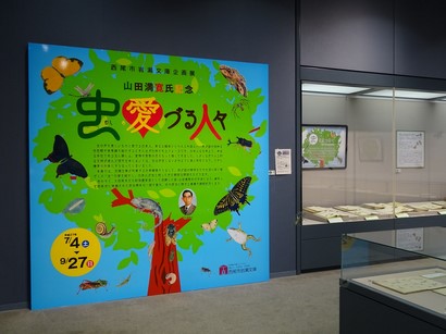 150710西尾市岩瀬文庫③、企画展「虫愛づる人々」 (コピー).JPG