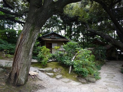 150812爲三郎記念館⑦、椎の大木と茶室「知足庵」 (コピー).JPG